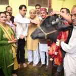 संजय अवस्थी ने अर्की में राज्य स्तरीय सायर मेले का किया शुभारंभ